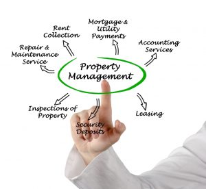 LBI Property Management Companies
